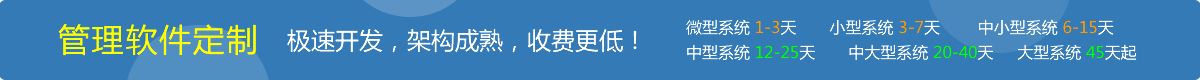 管理系统定制