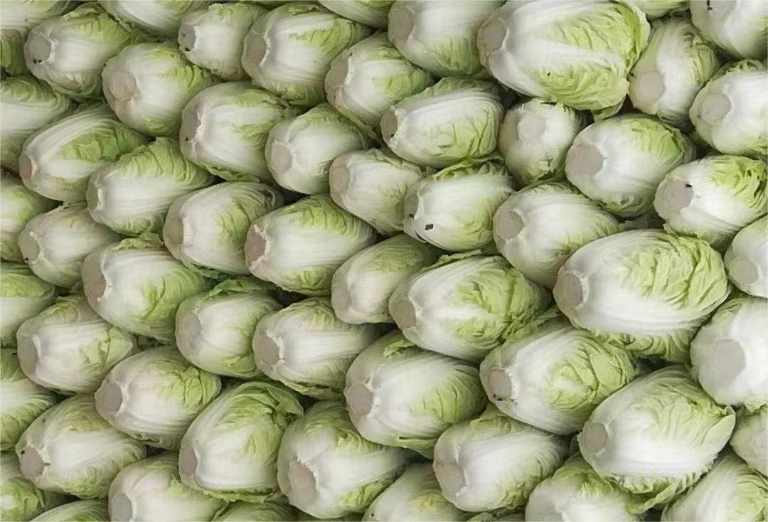 生鲜配送系统的作用是什么.jpg 生鲜配送系统的作用是什么.jpg