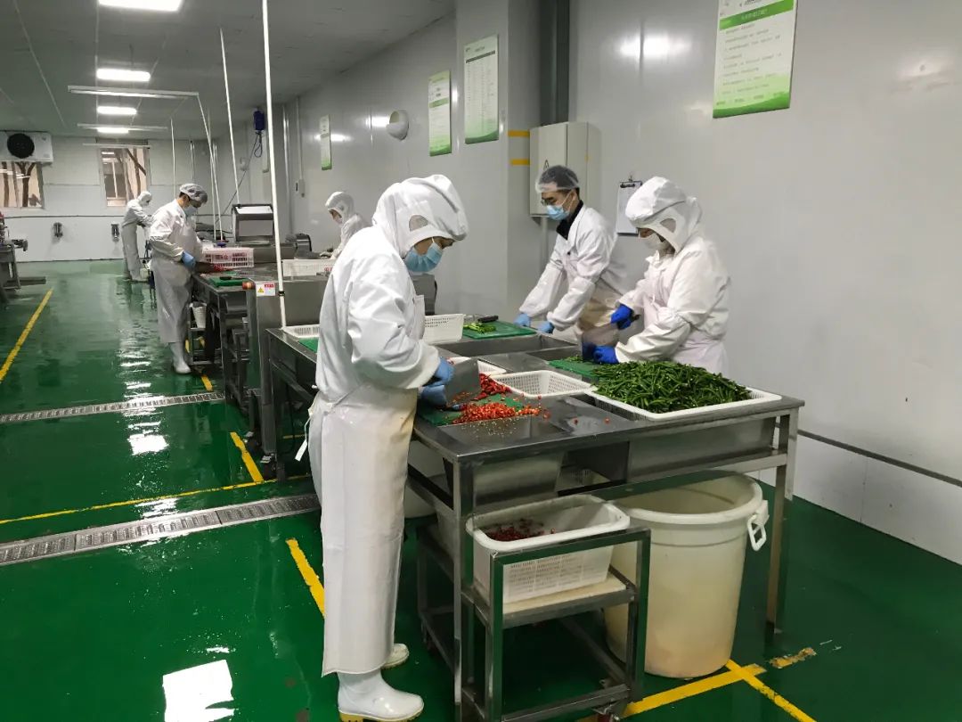 田禾仓加工净菜.jpeg