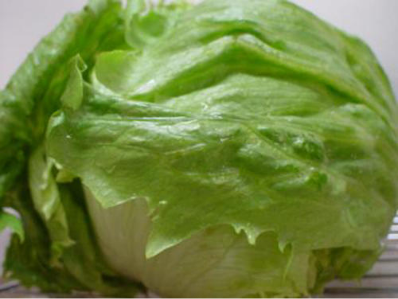 图片16.png 图片16.png