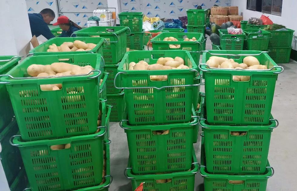 蔬菜配送有哪些关键点必须做好.jpg 蔬菜配送有哪些关键点必须做好.jpg