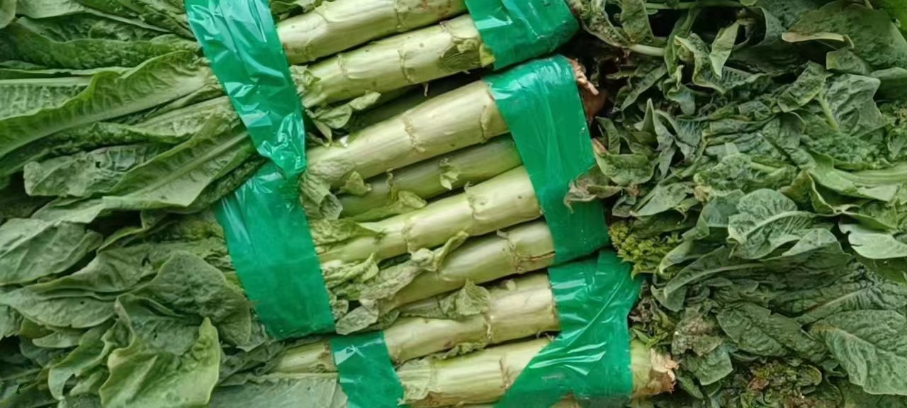 蔬菜配送公司需要哪些证件.jpg 蔬菜配送公司需要哪些证件.jpg