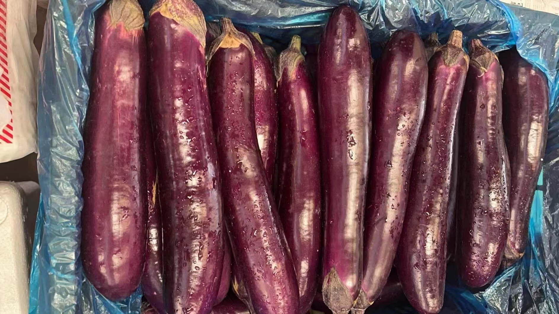 蔬菜配送app平台怎么帮助蔬菜配送公司开展业务.jpg 蔬菜配送app平台怎么帮助蔬菜配送公司开展业务.jpg