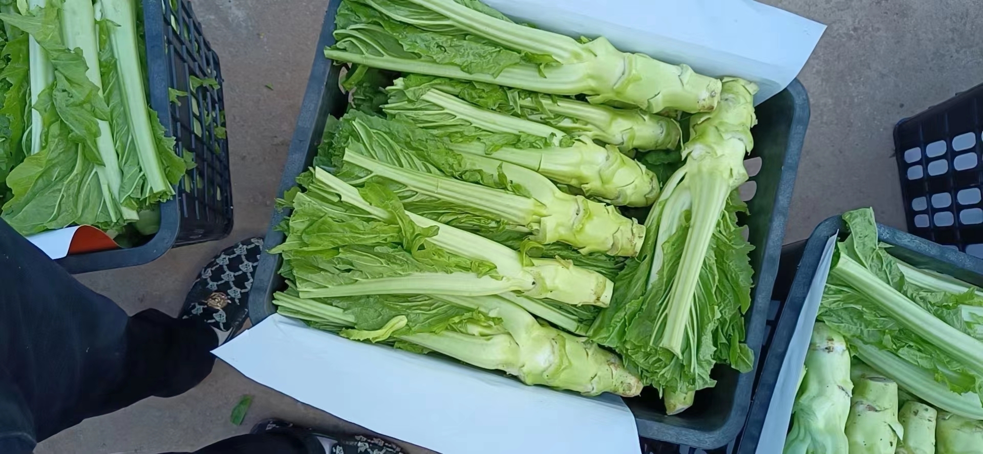 生鲜配送软件怎么让分拣效率提升65%