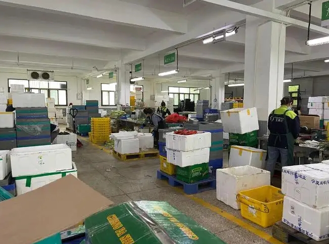 生鲜SaaS系统作用大不大