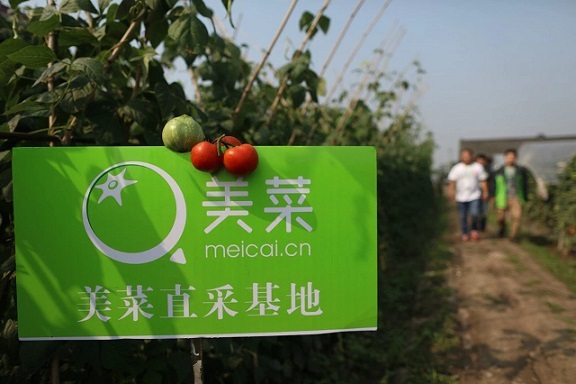 135F5DED733CBF5E8D272DAE0A610090418E623D_size76_w576_h384.jpeg 135F5DED733CBF5E8D272DAE0A610090418E623D_size76_w576_h384.jpeg