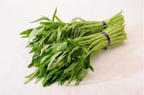 图片6.png 图片6.png