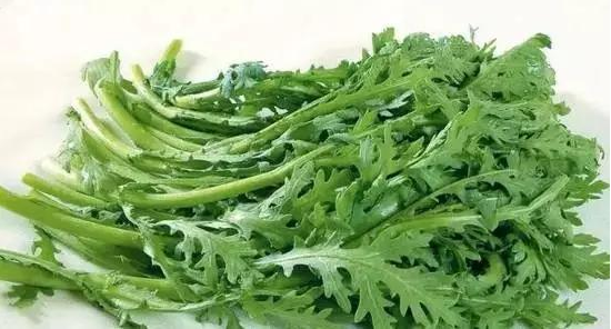 图片9.png 图片9.png