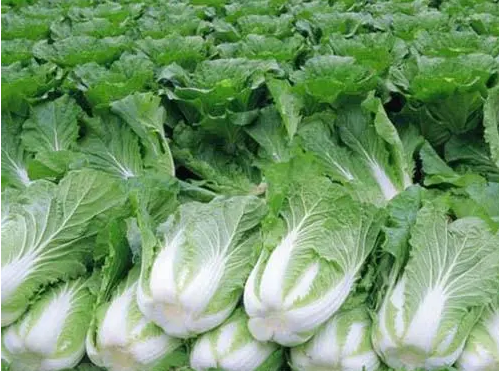 生鲜配送系统价格影响因素有哪些.png 生鲜配送系统价格影响因素有哪些.png