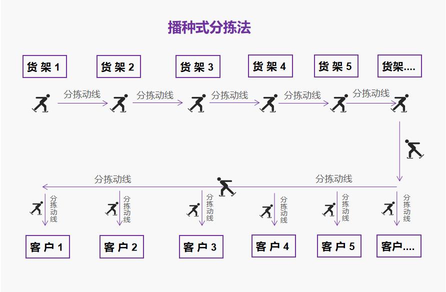 播种式分拣2.jpg 播种式分拣2.jpg