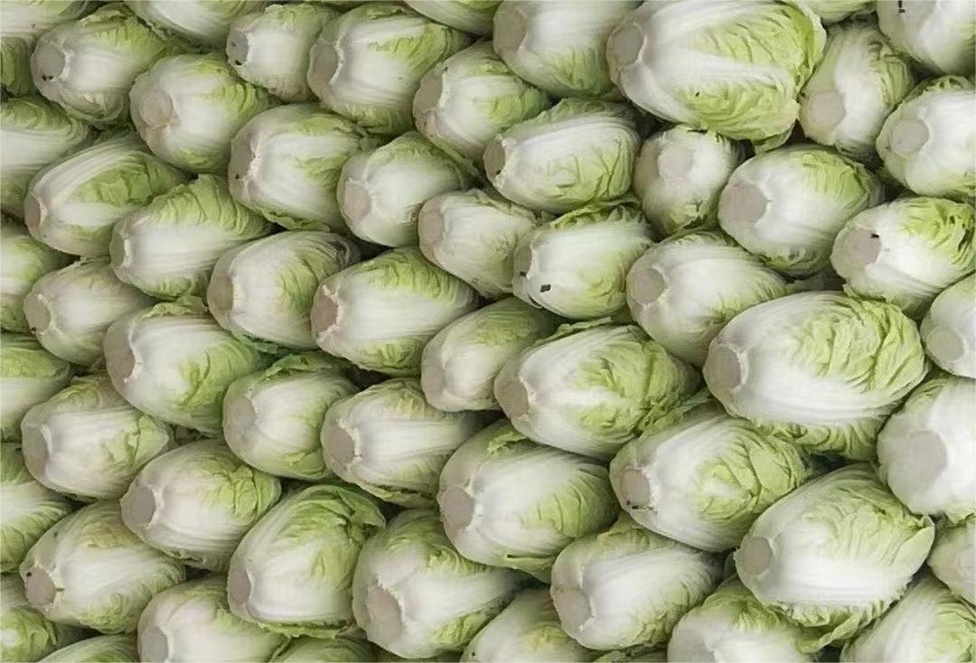 生鲜配送系统的作用是什么