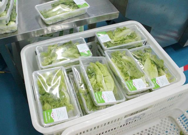 蔬菜配送系统能帮助管理员工吗.png 蔬菜配送系统能帮助管理员工吗.png