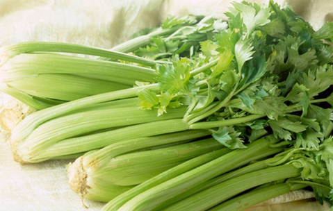 图片17.png 图片17.png