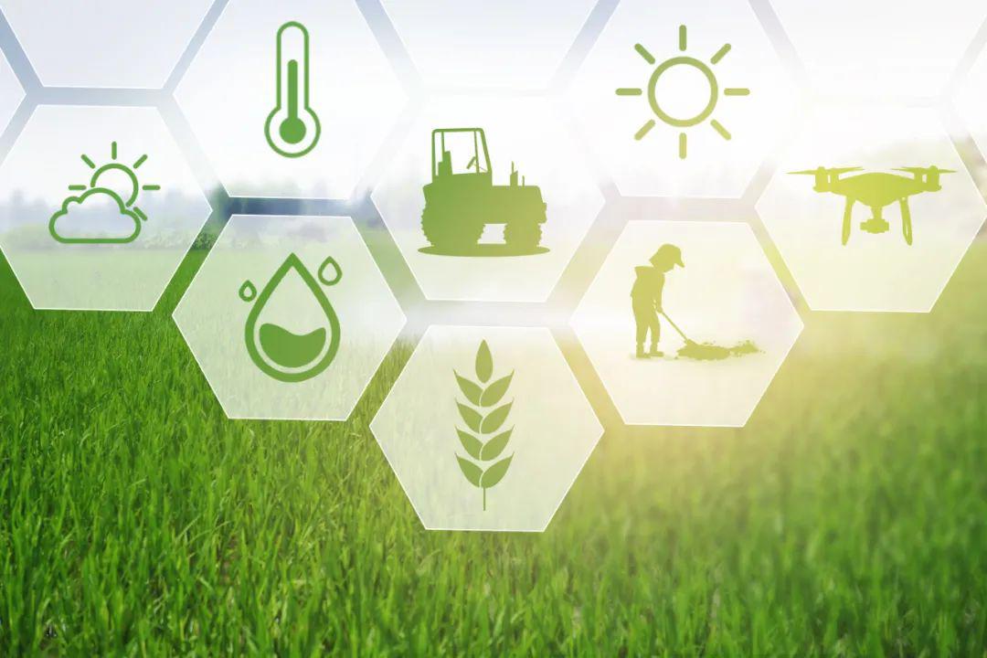 农业数字.jpg