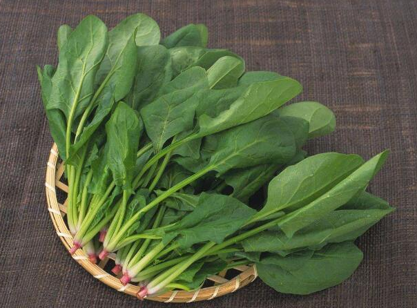 图片10.png 图片10.png