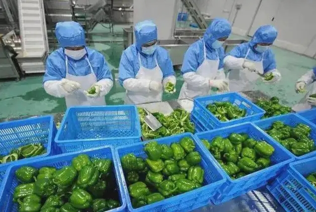 中央厨房管理系统怎么打造