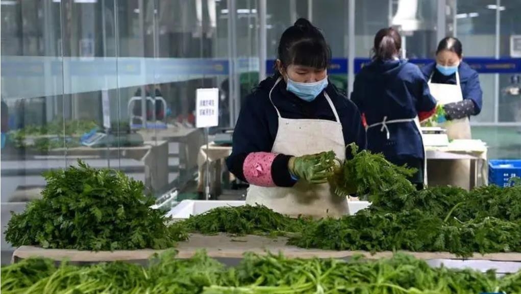 蔬菜配送生意怎么做好采购？这些品类这样做好蔬菜采购