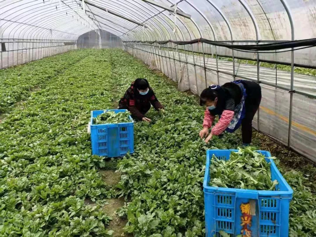 3.20.3.jpg 3.20.3.jpg