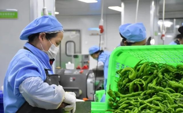 净菜加工是什么？净菜加工应该注意的问题有哪些？