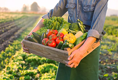 服务.jpg 服务.jpg