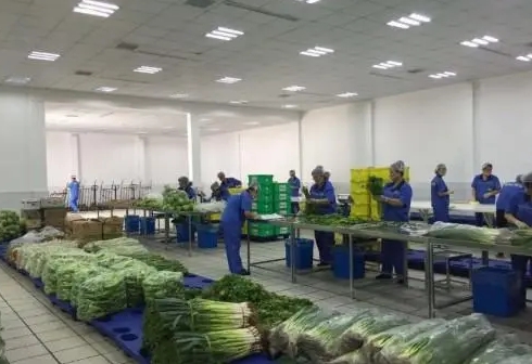 蔬菜配送系统价格受哪些因素影响