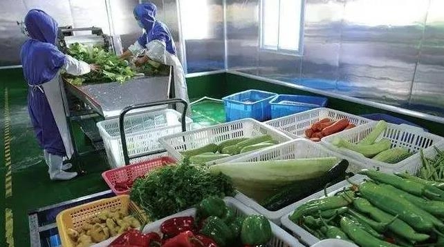 生鲜配送软件怎么实现生鲜线上自助采购