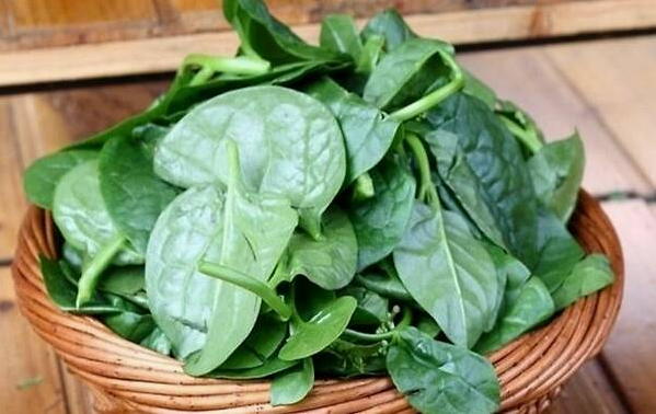 图片7.png 图片7.png