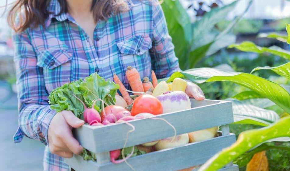 生鲜分拣系统是干嘛的.jpg 生鲜分拣系统是干嘛的.jpg