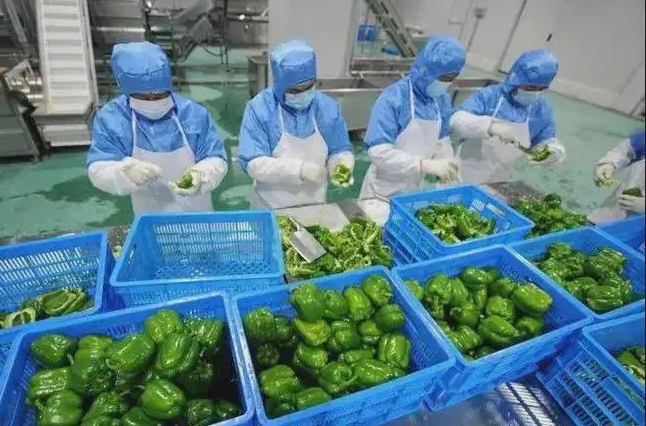 中央厨房管理系统对央厨企业的帮助大吗